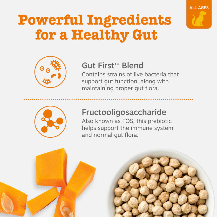 Probiotic & Gut Support Powder